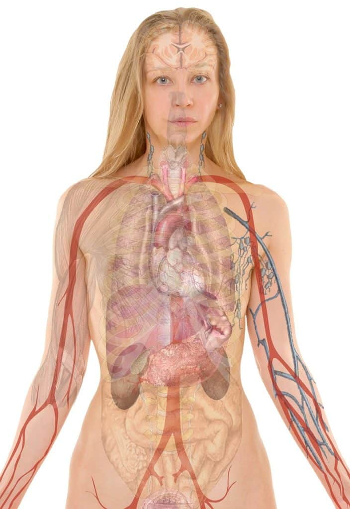 Vitamin B6 metabolism